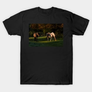 Horse shadow T-Shirt